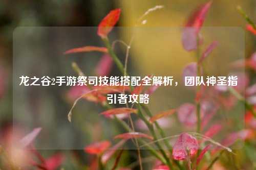 龙之谷2手游祭司技能搭配全解析,团队神圣指引者攻略