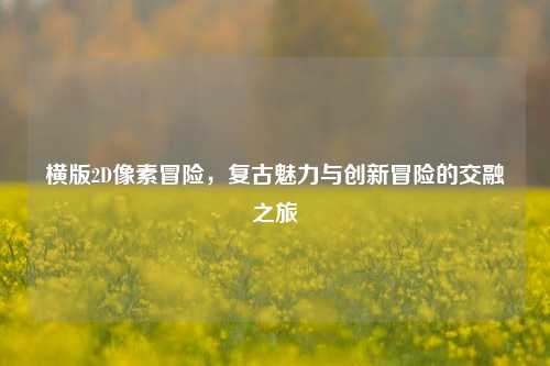 横版2D像素冒险,复古魅力与创新冒险的交融之旅