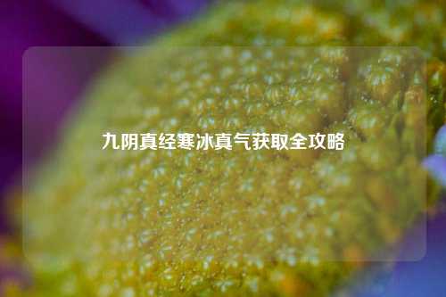 九阴真经寒冰真气获取全攻略