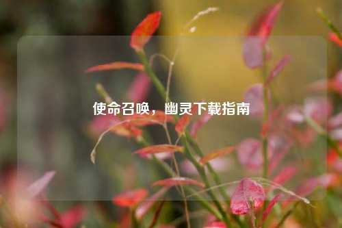 使命召唤,幽灵下载指南