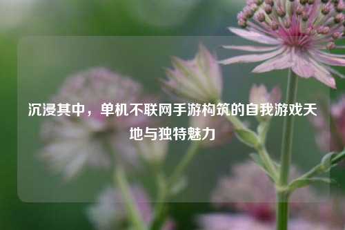 沉浸其中,单机不联网手游构筑的自我游戏天地与独特魅力