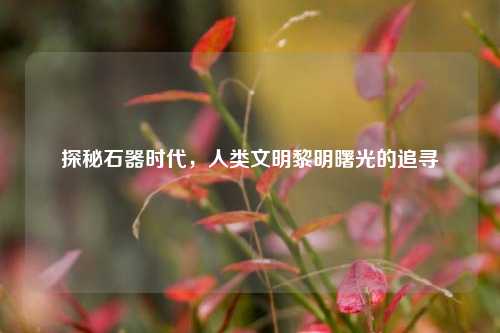 探秘石器时代,人类文明黎明曙光的追寻