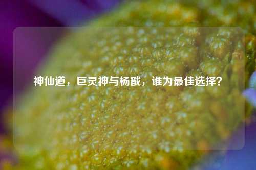 神仙道,巨灵神与杨戬,谁为最佳选择?