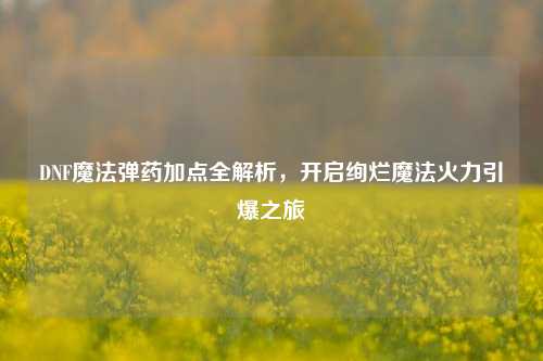 DNF魔法弹药加点全解析,开启绚烂魔法火力引爆之旅