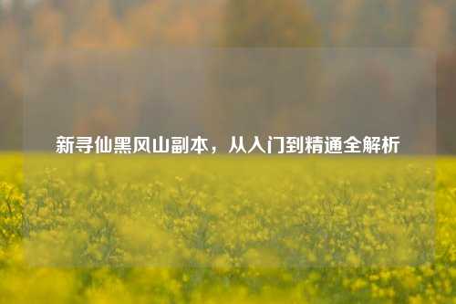 新寻仙黑风山副本,从入门到精通全解析