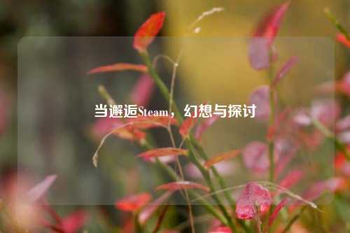 当邂逅Steam，幻想与探讨