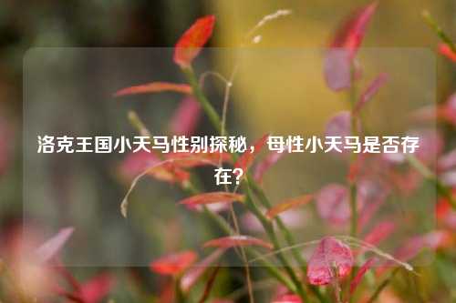 洛克王国小天马性别探秘,母性小天马是否存在?