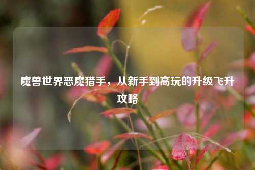 魔兽世界恶魔猎手,从新手到高玩的升级飞升攻略