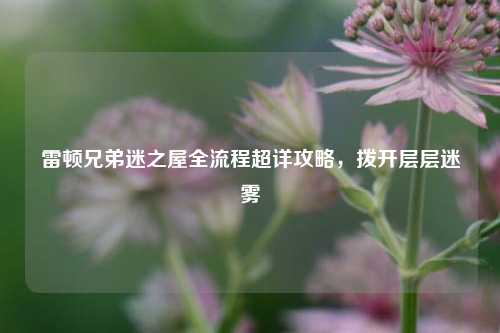 雷顿兄弟迷之屋全流程超详攻略,拨开层层迷雾