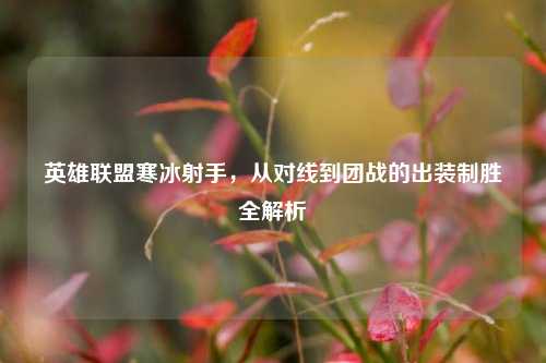 英雄联盟寒冰射手,从对线到团战的出装制胜全解析