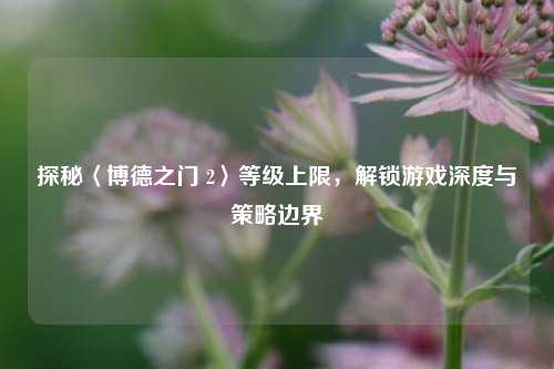 探秘〈博德之门 2〉等级上限,解锁游戏深度与策略边界