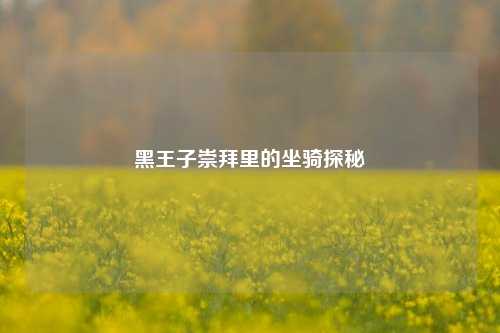 黑王子崇拜里的坐骑探秘