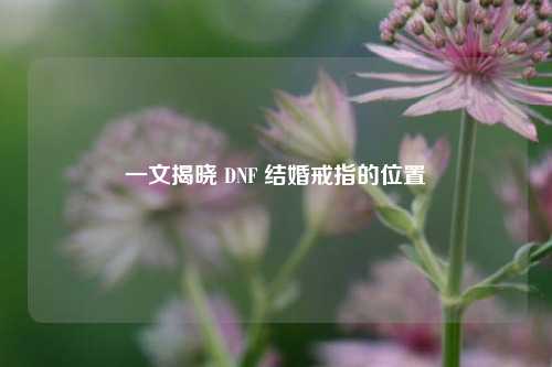 一文揭晓 DNF 结婚戒指的位置