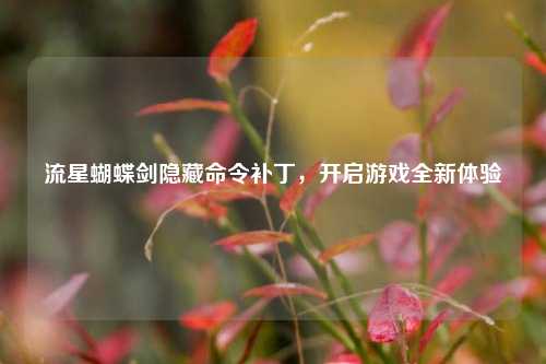 流星蝴蝶剑隐藏命令补丁,开启游戏全新体验