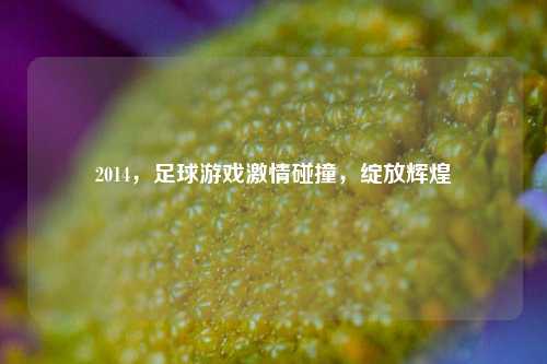 2014,足球游戏激情碰撞,绽放辉煌