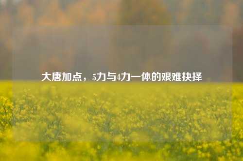 大唐加点,5力与4力一体的艰难抉择