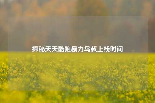 探秘天天酷跑暴力鸟叔上线时间