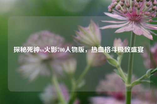 探秘死神vs火影700人物版,热血格斗极致盛宴