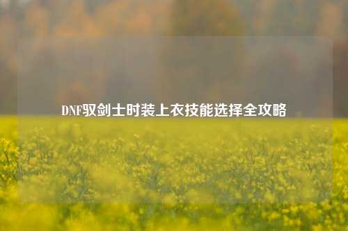 DNF驭剑士时装上衣技能选择全攻略