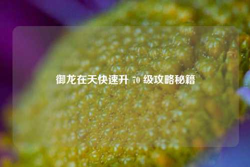 御龙在天快速升 70 级攻略秘籍