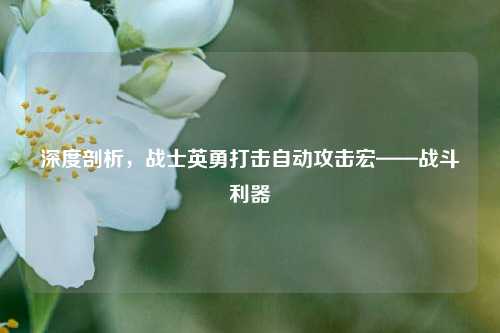 深度剖析,战士英勇打击自动攻击宏——战斗利器