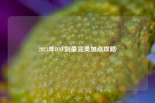 2023年DNF剑豪完美加点攻略