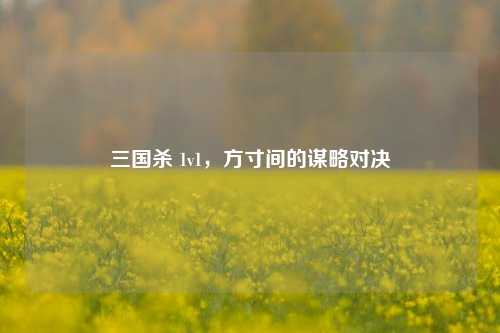 三国杀 1v1,方寸间的谋略对决