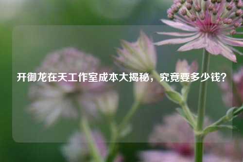 开御龙在天工作室成本大揭秘,究竟要多少钱?