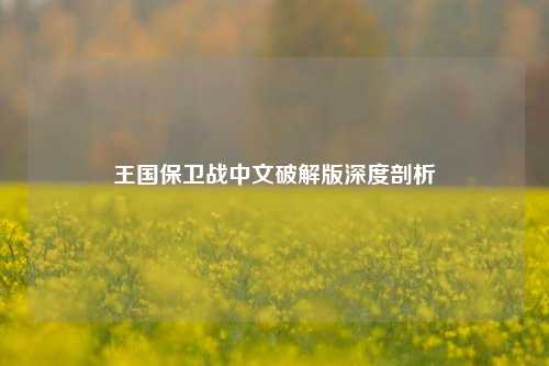 王国保卫战中文破解版深度剖析