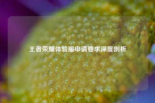 王者荣耀体验服申请要求深度剖析