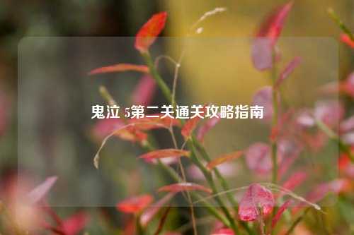 鬼泣 5第二关通关攻略指南