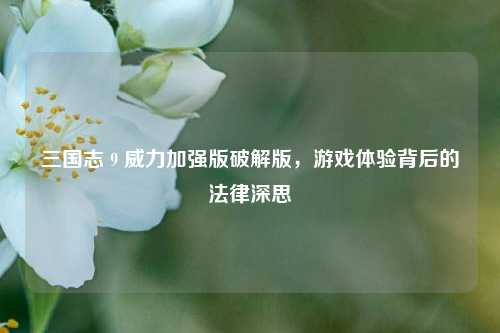 三国志 9 威力加强版破解版,游戏体验背后的法律深思
