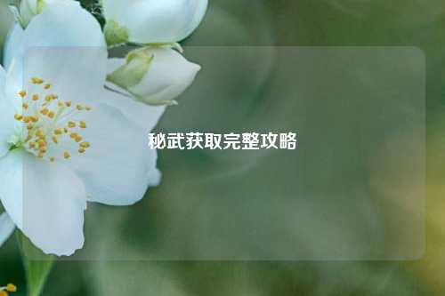 秘武获取完整攻略