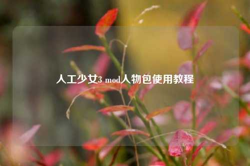 人工少女3 mod人物包使用教程