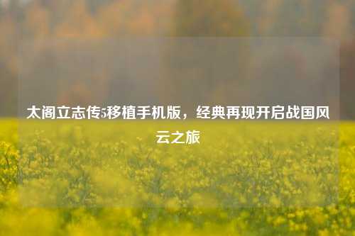 太阁立志传5移植手机版,经典再现开启战国风云之旅