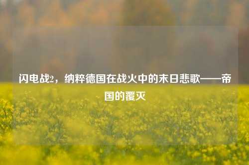 闪电战2,纳粹德国在战火中的末日悲歌——帝国的覆灭