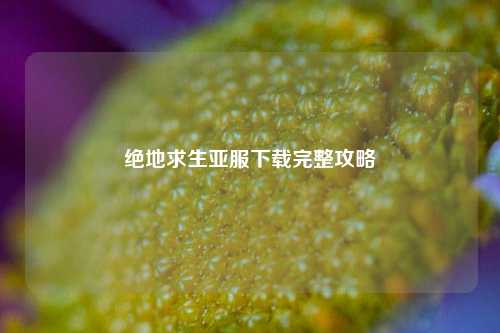 绝地求生亚服下载完整攻略