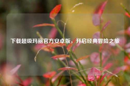下载超级玛丽官方安卓版,开启经典冒险之旅