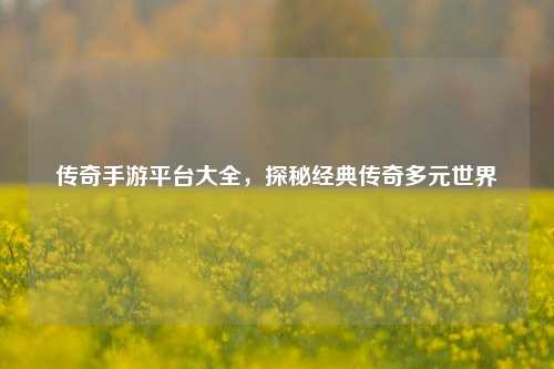 传奇手游平台大全,探秘经典传奇多元世界