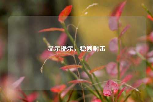 显示提示,稳固射击