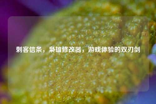 刺客信条,枭雄修改器,游戏体验的双刃剑