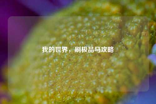 我的世界，刷极品马攻略
