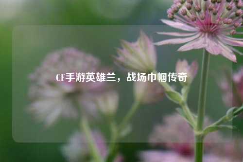 CF手游英雄兰,战场巾帼传奇
