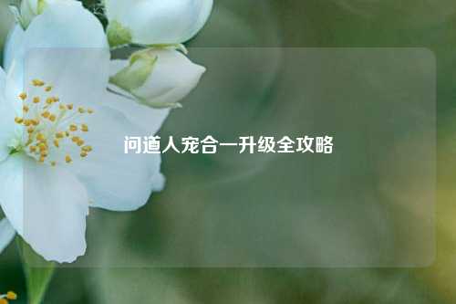 问道人宠合一升级全攻略