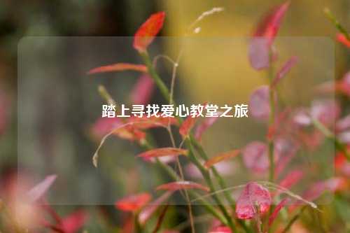 踏上寻找爱心教堂之旅