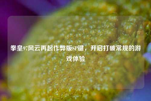 拳皇97风云再起作弊版SP键，开启打破常规的游戏体验
