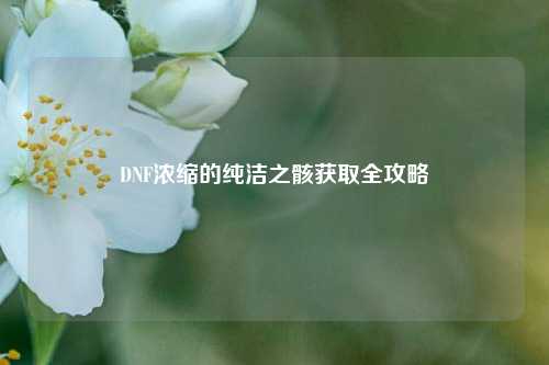 DNF浓缩的纯洁之骸获取全攻略