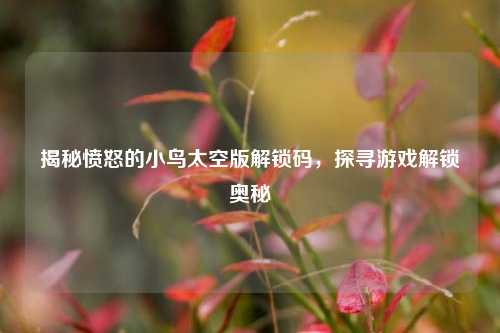 揭秘愤怒的小鸟太空版解锁码,探寻游戏解锁奥秘