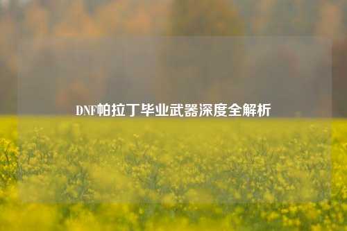 DNF帕拉丁毕业武器深度全解析