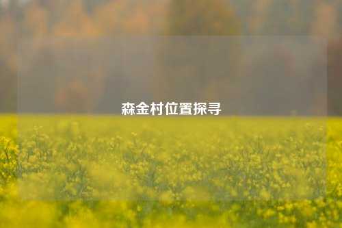森金村位置探寻
